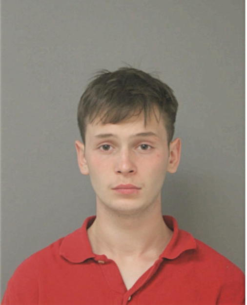 DAVID R LINDSAY, Cook County, Illinois