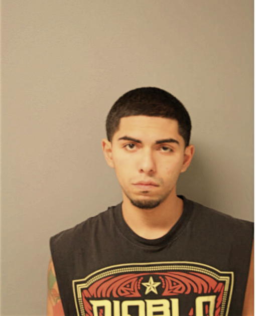 JESSE I LOPEZ, Cook County, Illinois