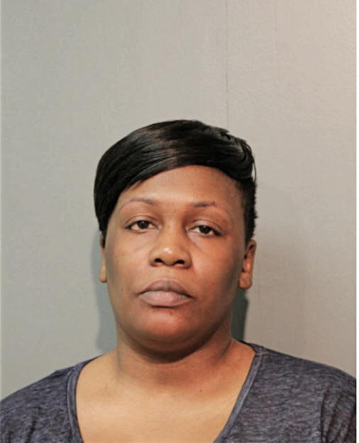 JENNIFER F MAGGIT, Cook County, Illinois