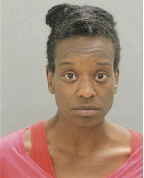 LYDIA A MATTISON, Cook County, Illinois