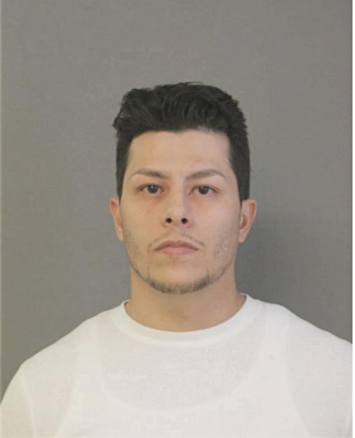 CARLOS A ROA, Cook County, Illinois
