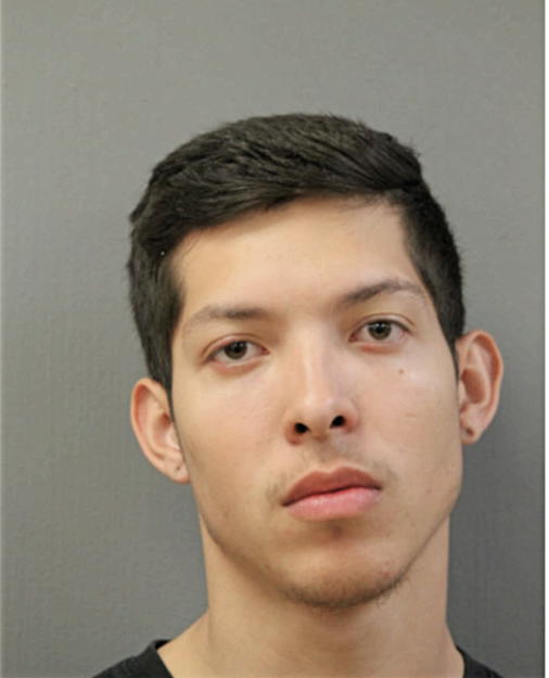 JUSTIN A RODRIGUEZ, Cook County, Illinois