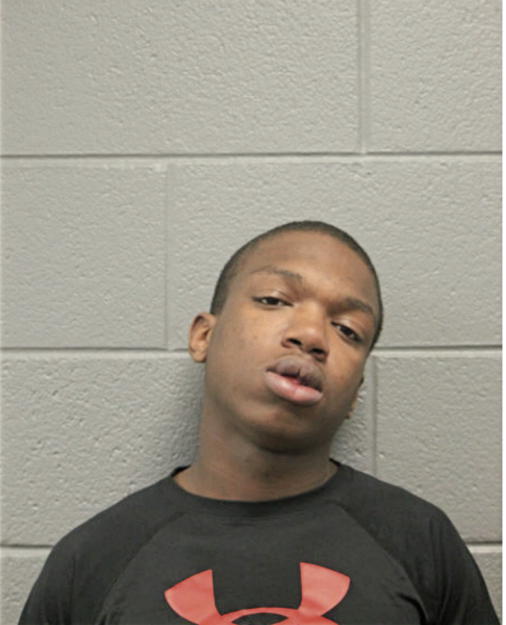 STEVEN STEWART, Cook County, Illinois