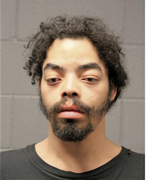 RUDY M THOMPSON, Cook County, Illinois