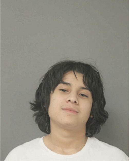 ALEXIS DEL TORO, Cook County, Illinois