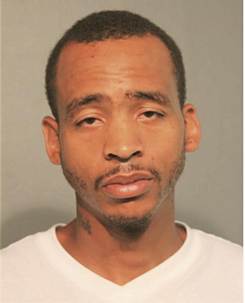 WILLIAM L YOUNG, Cook County, Illinois