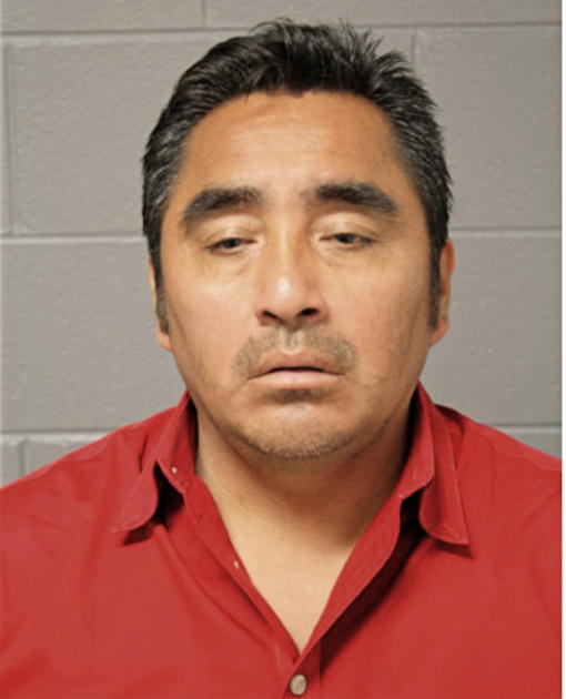 MARTIN ANALCO, Cook County, Illinois