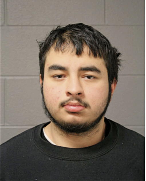 FERNANDO GALLARDO, Cook County, Illinois