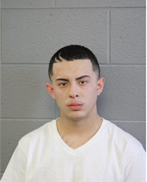 ROBERT A GARCIA, Cook County, Illinois
