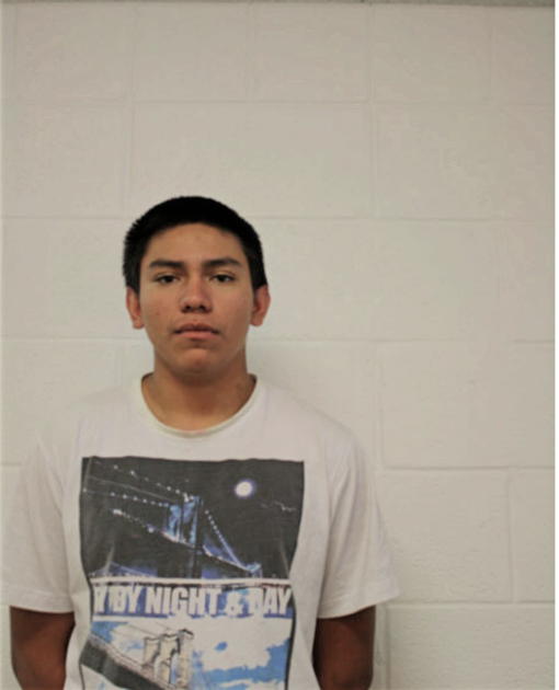 ALEXIS GARRIDO, Cook County, Illinois