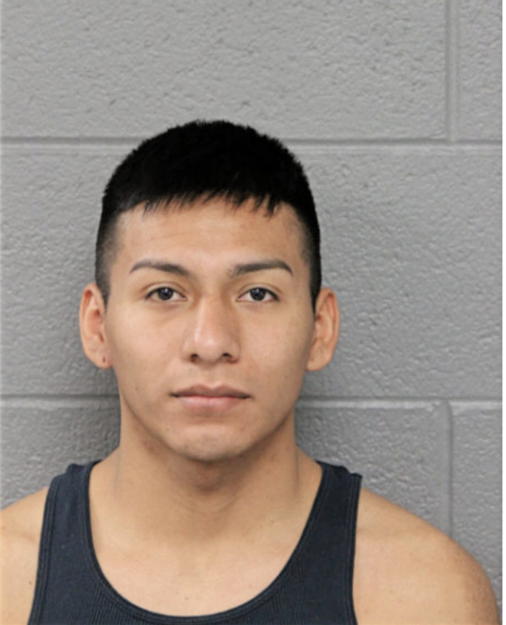 RAMON E GUERRERO, Cook County, Illinois