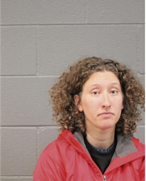 RACHEL E HOFFMAN, Cook County, Illinois
