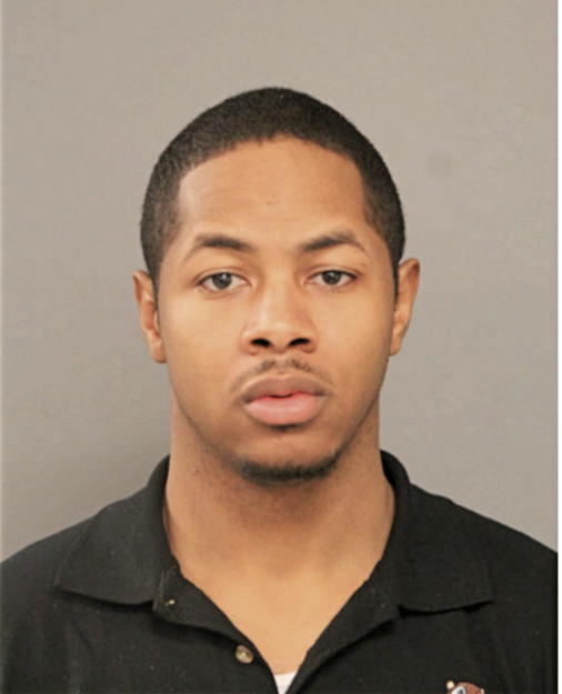 DAVID T HOLBERT, Cook County, Illinois