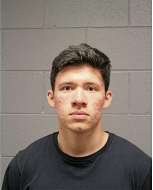 DONEL IBARRA, Cook County, Illinois