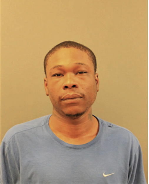 WESLEY L JOHNSON, Cook County, Illinois