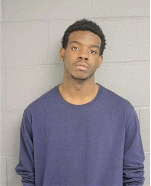 JAMES B LANGSTON, Cook County, Illinois