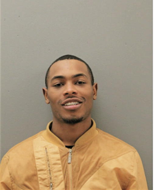 ERIC V MARTIN, Cook County, Illinois