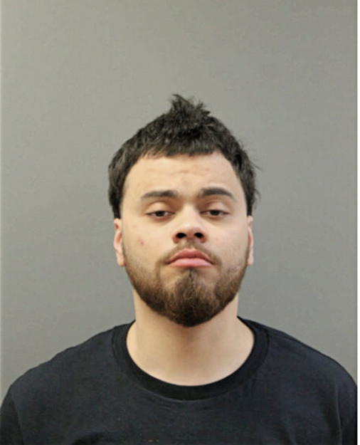LUIS A MONTANEZ, Cook County, Illinois