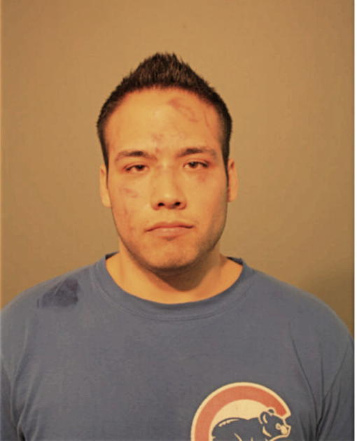 TIMOTHY J MORGAN, Cook County, Illinois