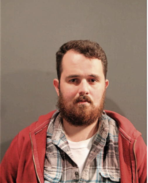 MICHAEL P REDA, Cook County, Illinois
