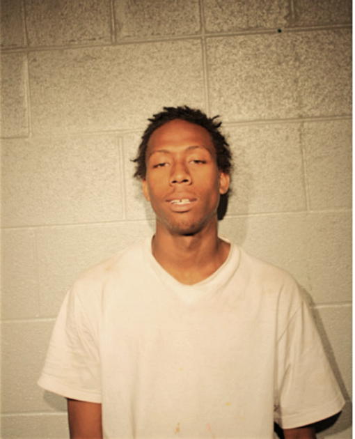 RONNIE D ROPER, Cook County, Illinois