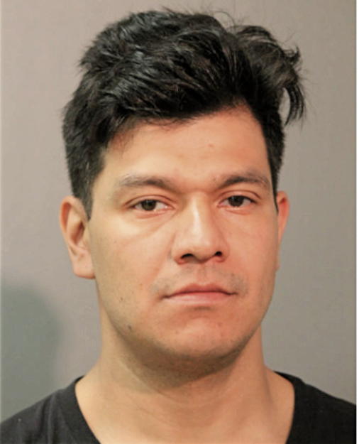 FREDY SOSA, Cook County, Illinois
