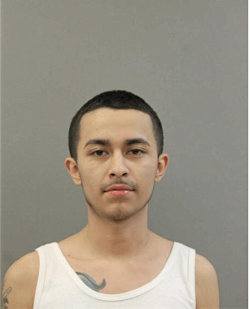 OMAR R SOSA, Cook County, Illinois