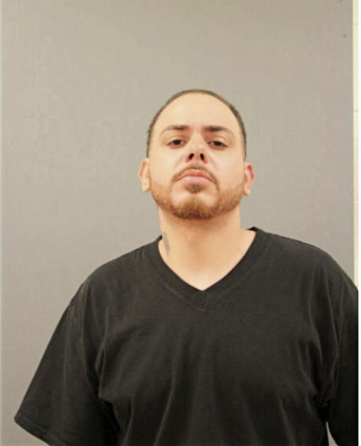 JUAN J VEGUILLA, Cook County, Illinois