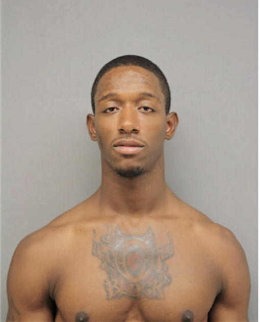 MICHAEL P WADE, Cook County, Illinois