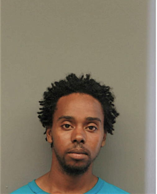 REGINALD R WILLIS, Cook County, Illinois