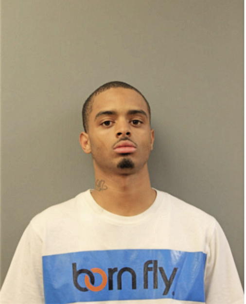 DEMARIO L WYATT, Cook County, Illinois