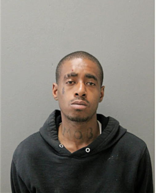 STEVEN BROWN, Cook County, Illinois