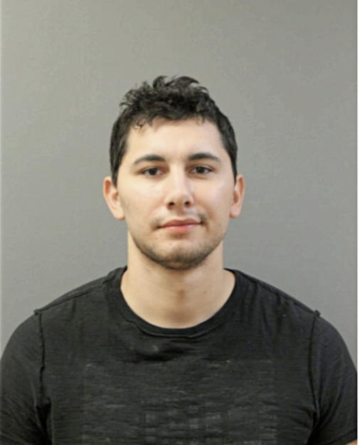 SANTINO J DONATO, Cook County, Illinois