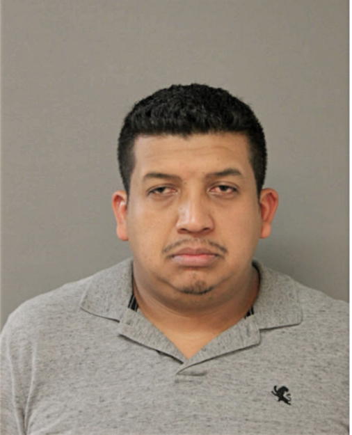 LUIS S DUARTE, Cook County, Illinois