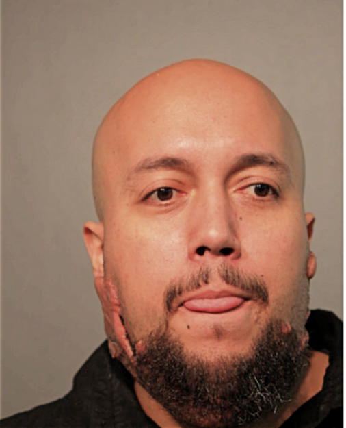 DAVID A ECHEVARRIA, Cook County, Illinois