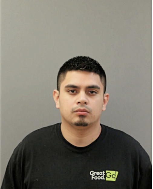 DANIEL GALEANA, Cook County, Illinois