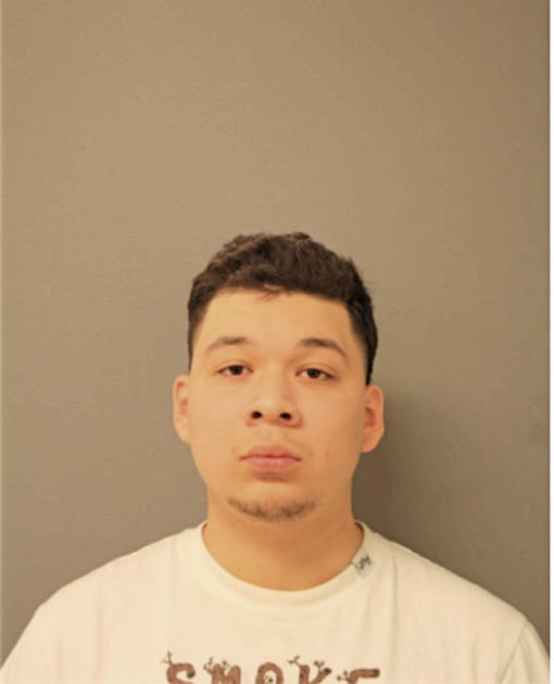 REYES K GUZMAN, Cook County, Illinois