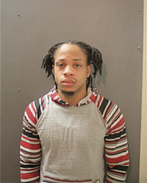 TERRANCE J HOGAN, Cook County, Illinois