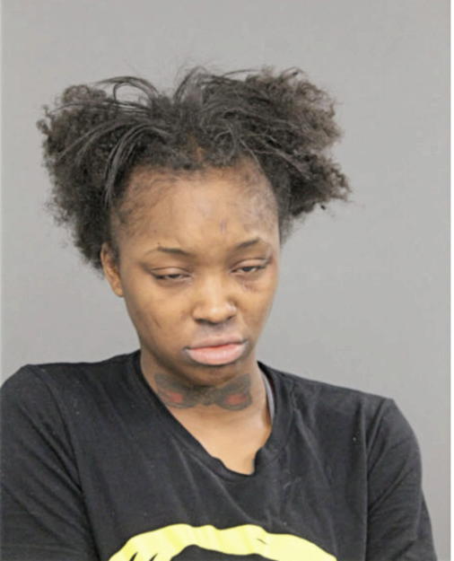 TIARA S JOHNSON, Cook County, Illinois
