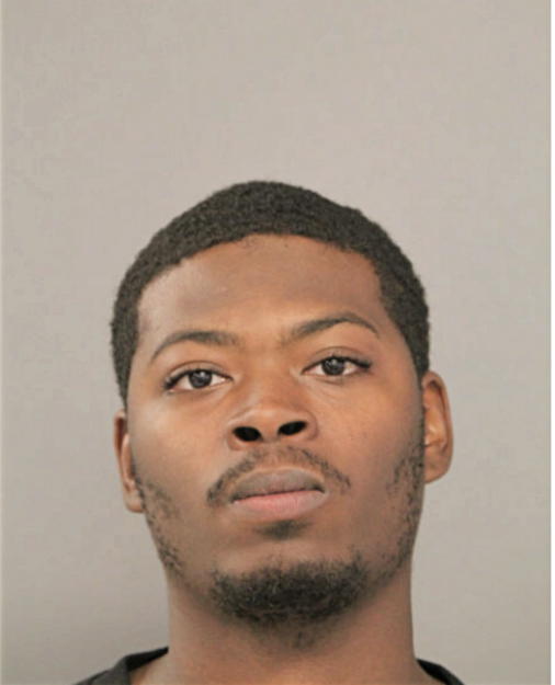 MICHAEL P LEE, Cook County, Illinois