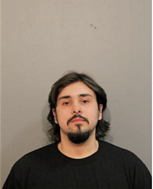 JULIO C LUNA, Cook County, Illinois