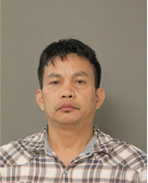 DENNIS A NAEL, Cook County, Illinois