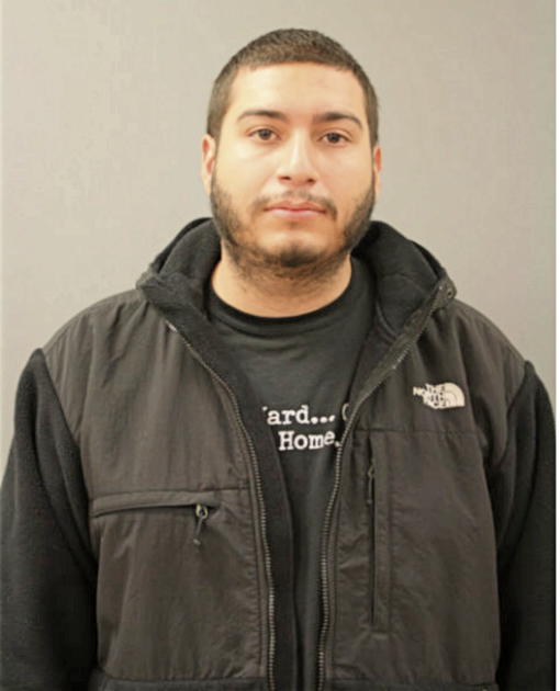 LUIS P NAVA, Cook County, Illinois