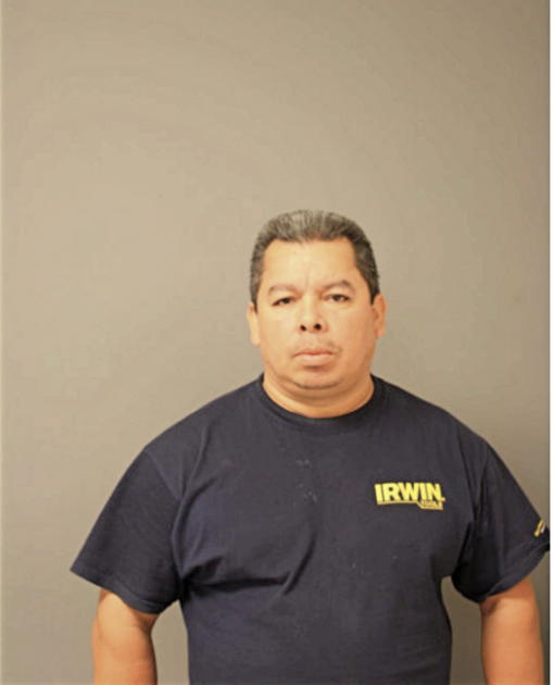 SAUL PINEDA, Cook County, Illinois