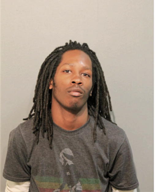 ANTHONIE H POLK, Cook County, Illinois
