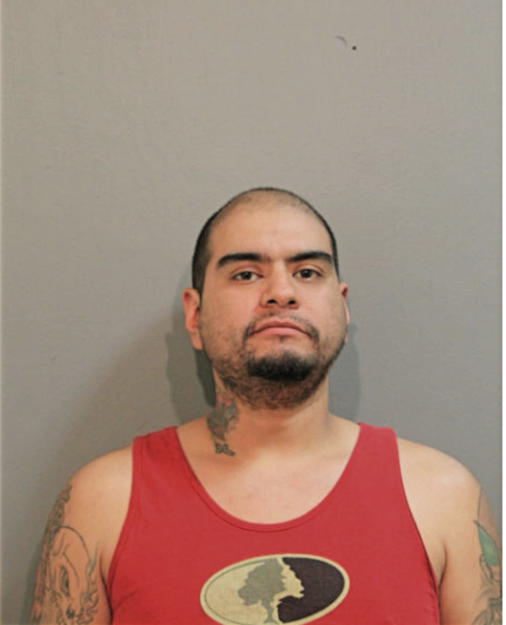 PABLO E RAMIREZ, Cook County, Illinois