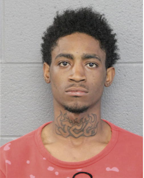 TYRIK D RAYFORD, Cook County, Illinois