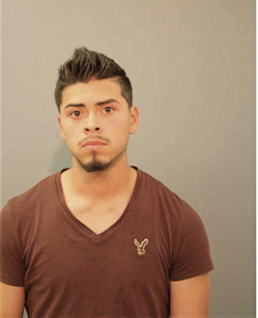 ULISES SANCHEZ, Cook County, Illinois