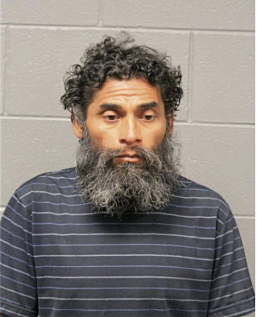 PEDRO TOLEDO, Cook County, Illinois
