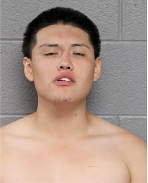 DANIEL VARGAS, Cook County, Illinois